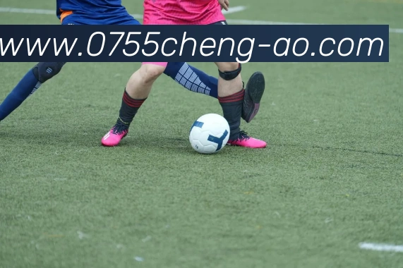 App Interface Preview