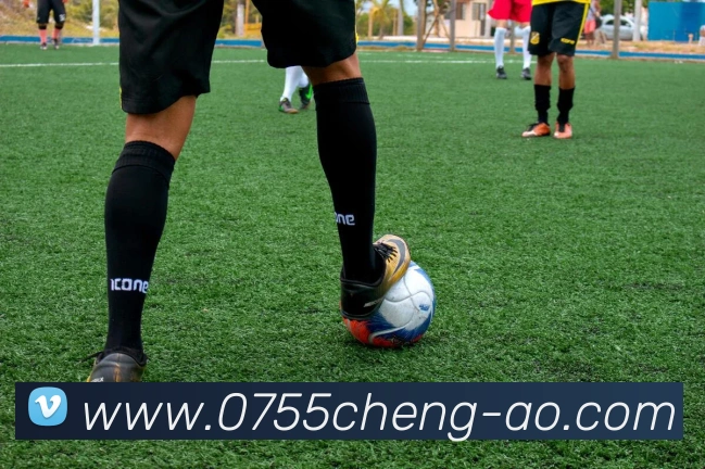 亚英娱乐唯一官网APP 封面图